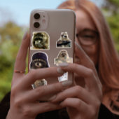 Leuke/grappige Raccoon tiktok meme pack sticker bu