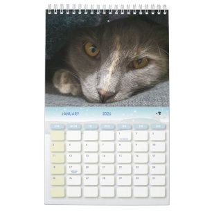 Leuke grijze kat foto's 2025 kalender