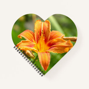 Leuke grote Lily bloem foto Notitieboek