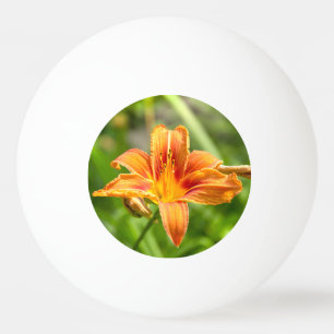 Leuke grote Lily bloem foto Pingpongballen