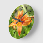 Leuke grote Lily bloem foto Ronde Klok (Hoek)