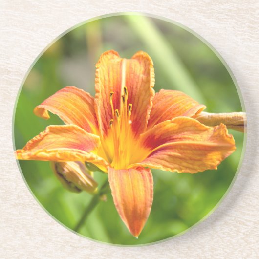 Leuke grote Lily bloem foto Zandsteen Onderzetter (Voorkant)