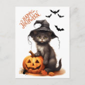 Leuke Halloween Zwarte Kat, Pompoen en Spin Briefkaart (Voorkant)