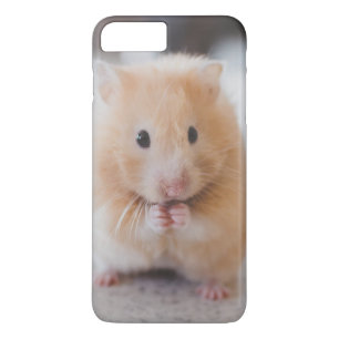 Leuke hamster 	iPhone 8 plus / 7 plus hoesje