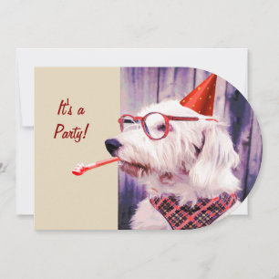 Leuke Happy Schattige Dog Verjaardagsfeest Pet Bri Kaart