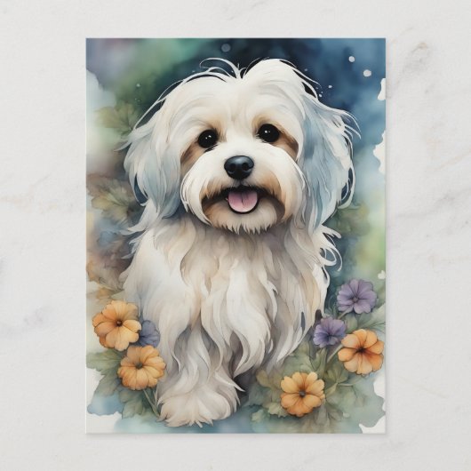 Leuke Havanese Hond in Waterverf Briefkaart (Voorkant)