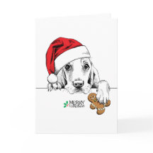 Leuke Hond met Gingerbread Man Cookie