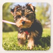 Leuke Hond onderzetters 9 (Voorkant)