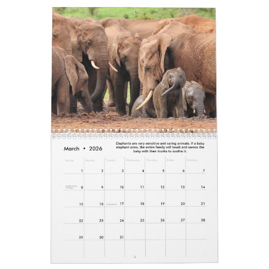 Leuke & interessante feiten over olifanten kalender (Mar 2026)