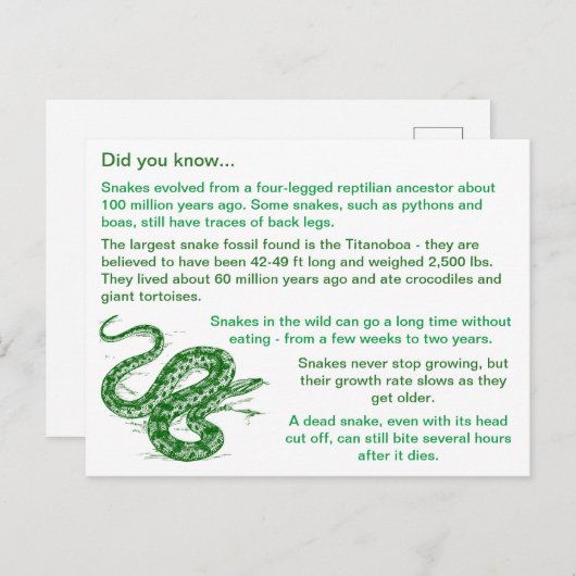 Leuke & interessante Snake Feiten Briefkaart (Voorkant / Achterkant)