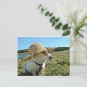 Leuke Jack Russell met een zon pet in het veld Briefkaart (Staand voorkant)