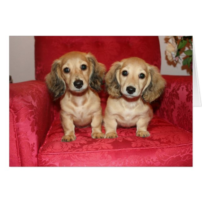 leuke kaart (Voorkant Horizontaal)