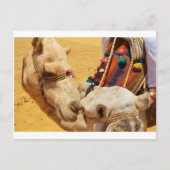 Leuke Kamelen Briefkaart (Voorkant)