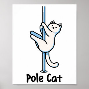 Leuke Kat liefhebber Humor Cat spelen een danser G Poster