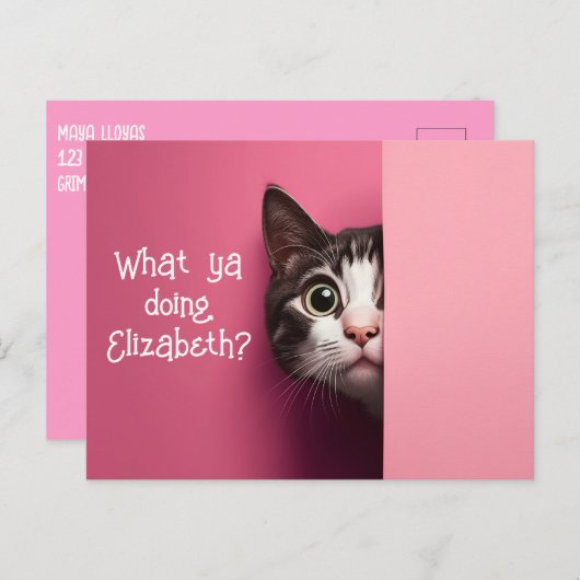 Leuke kat Peeks Briefkaart (Voorkant / Achterkant)