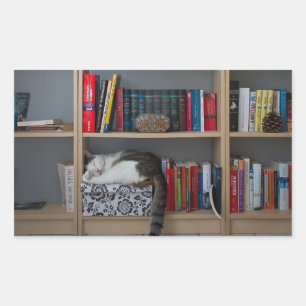 Leuke kat slapen op boekenplank bibliotheek boeken rechthoekige sticker