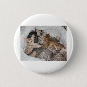 LEUKE KATJES IN EEN MAND RONDE BUTTON 5,7 CM