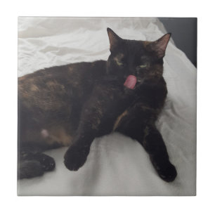 Leuke kattenfoto met tong uit, tegels tegeltje