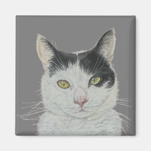 Leuke kattenmagneet magneet