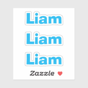 Leuke Kinderen Blauwe Fun Naam Sticker