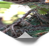 Leuke kitten foto waarde Poster papier (mat) (Hoek)