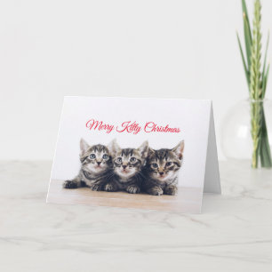 Leuke kittens kerst kaart
