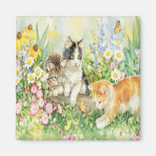 Leuke kittens magneet