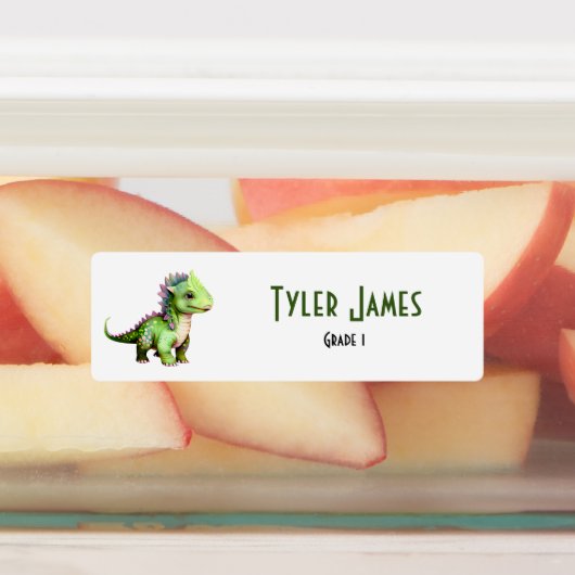 Leuke Kleurrijke Dinosaurus School Kinder Aangepas Labels (Aangebracht)