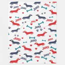 Leuke kleurrijke Doxie Dog Dachshund