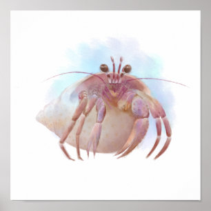 Leuke kluizenaar krab schets poster