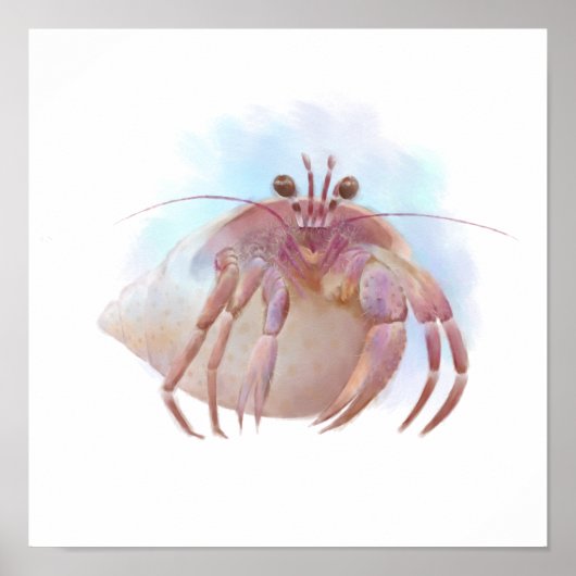 Leuke kluizenaar krab schets poster (Voorkant)