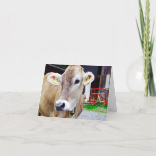 Leuke koe notecard kaart