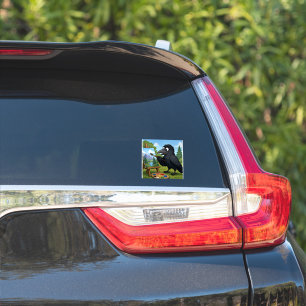 Leuke Kunstenaar Kraai Schildert Landschapskunst Sticker