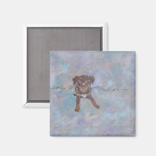 Leuke Lab Mix Magnet Magneet (Voorkant / Achterkant)