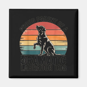 Leuke Labrador Drama Hond Hondenliefhebber Ouder M Magneet
