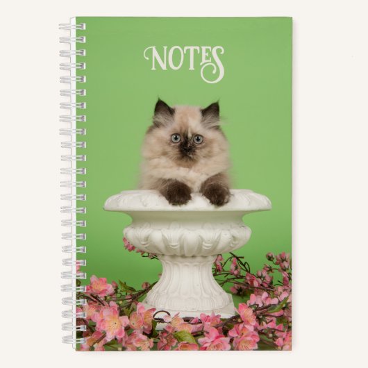 Leuke langharige Siamese kat Notitieboek (Voorkant)