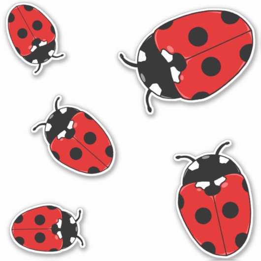 Leuke lieveheersbeestjes tuin insecten sticker (Voorkant)