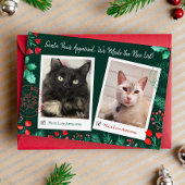 Leuke Lijst 2 Kattenfoto Waterverf Rood & Groen Feestdagenkaart