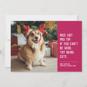 Leuke lijst grappige huisdier roze kerst foto feestdagenkaart