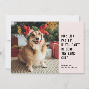Leuke lijst grappige huisdier zwart roze kerst fot feestdagenkaart