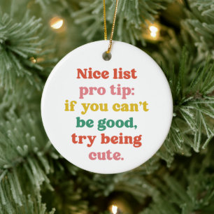 Leuke lijst pro tip leuke grappige huisdier foto k keramisch ornament