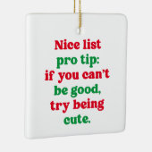 Leuke lijst pro tip schattige grappige huisdier fo keramisch ornament (Rechts)