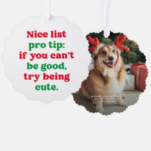 Leuke lijst schattig grappig rood groen huisdier f ornament kaart