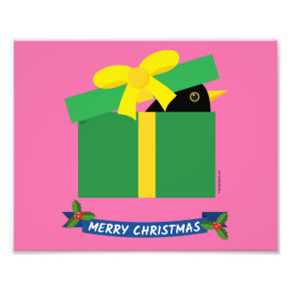 Leuke merel gluren uit een geschenkdoos foto afdruk
