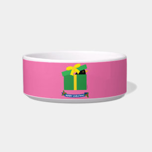 Leuke merel gluren uit een geschenkdoos voerbakje