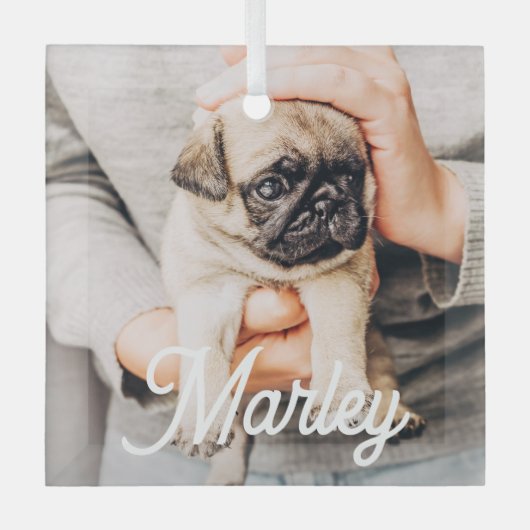Leuke moderne eenvoudige aangepaste huisdier foto glas ornament (Voorkant)