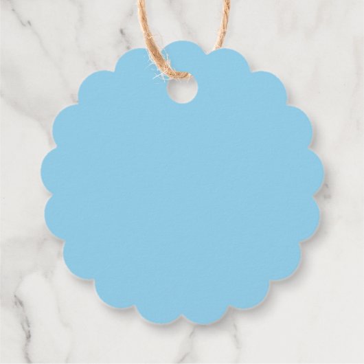 Leuke Mr Onederful blauwe ballon dank u Bedankjes Labels (Achterkant)