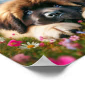 Leuke Newfoundlander puppy Poster (Hoek)