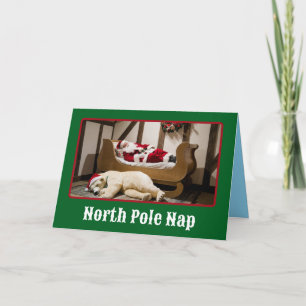 Leuke Noordpool Slaap Kerstmis Kaart