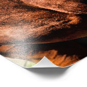 Leuke paarden Bruin-Zwart-Wit paard Ranch, Paddock Foto Afdruk (Hoek)